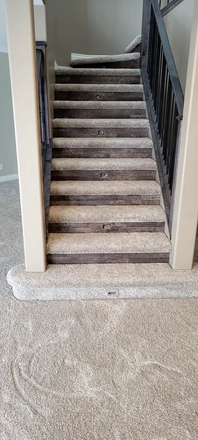 Carpeted staircase