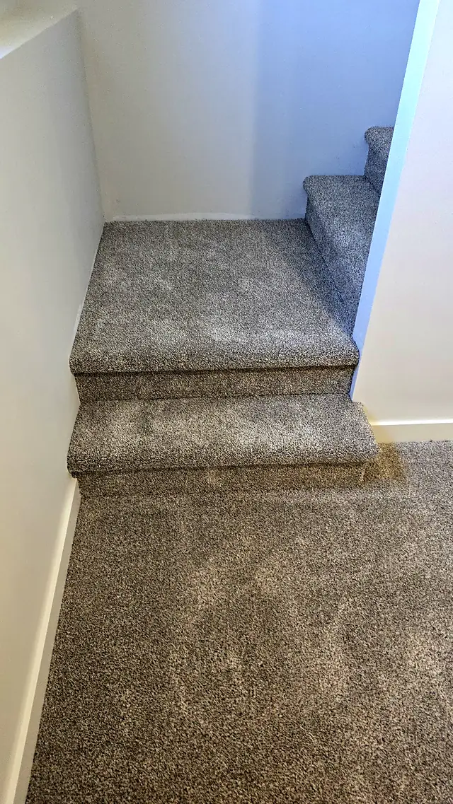 Carpeted steps in a stairwell